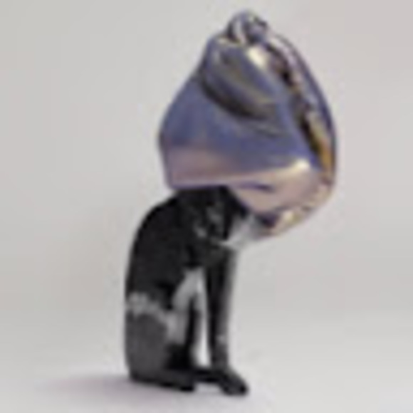 Meet your Posher, Tasneem - Picture 1 of 1